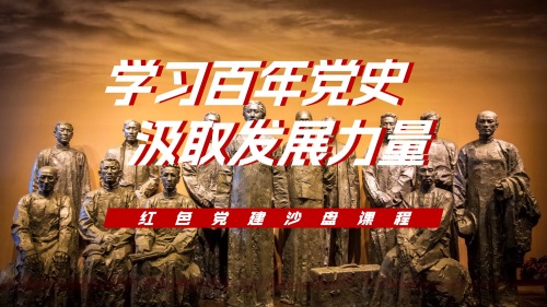 学习百年党史  汲取发展力量